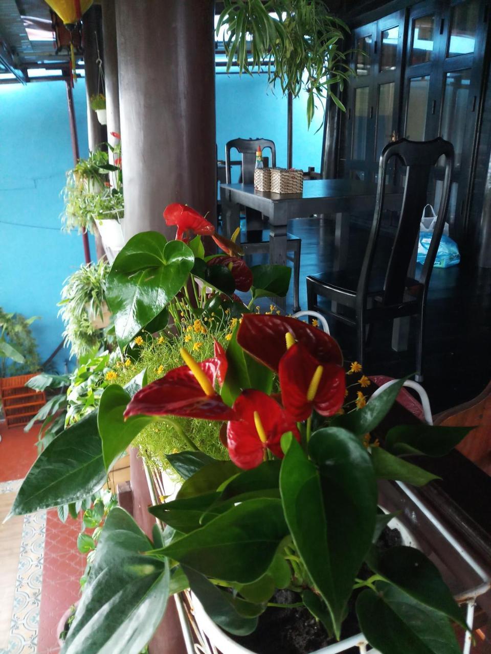 An Bang Stilt House Villa Hoi An Exterior foto